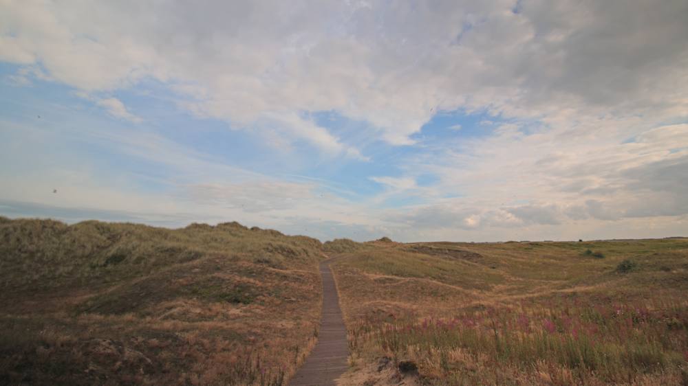 blakeney-point-norfolk-slide-4 Blakeney Point