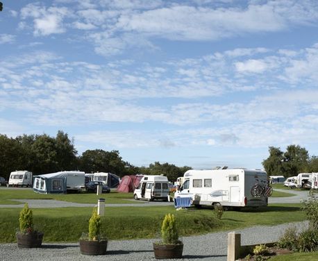 The sandstone crags of Nesscliffe Country Park overlook our lovely Club Site in the rolling pasturelands of Shropshire. Midway between the market town of Oswestry and the county town of Shrewsbury, the site provides an excellent base for exploring the area on foot, by car or public transport. It is close to the Llangollen Canal too.