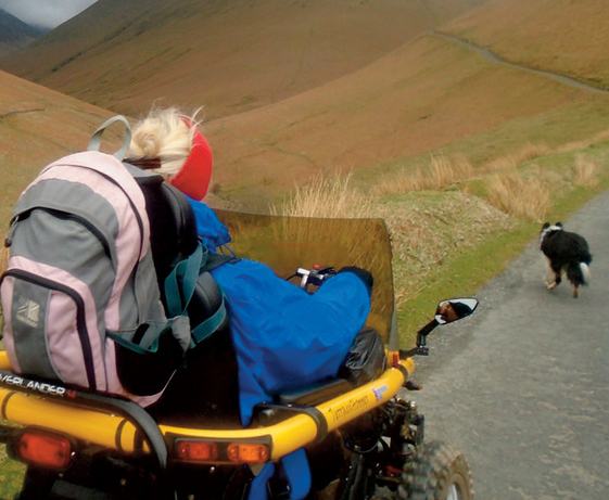 In The Spirit of Wainwright - Debbie North - Image 2