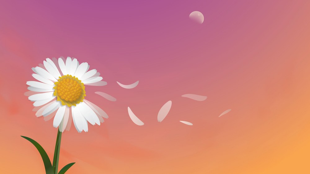 partner-template-slide-2