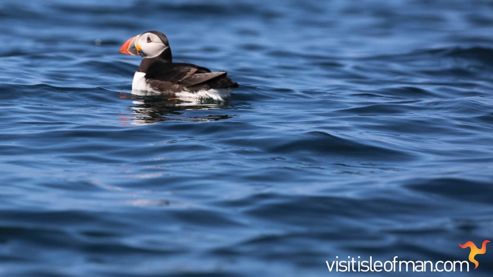 visit-isle-of-man-slide-3