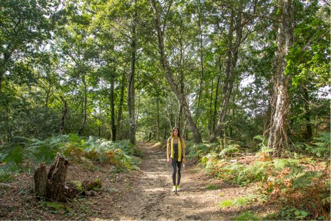 best-walks-with-view-jb-itv-pic-7