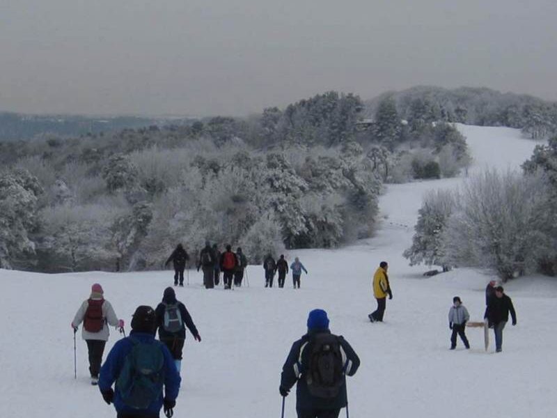 Cheltenham at New Year 29/12