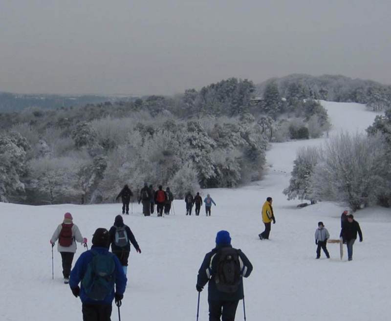 Cheltenham at New Year 29/12
