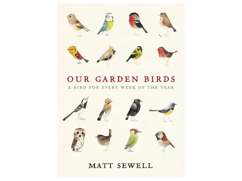 Our Garden Birds