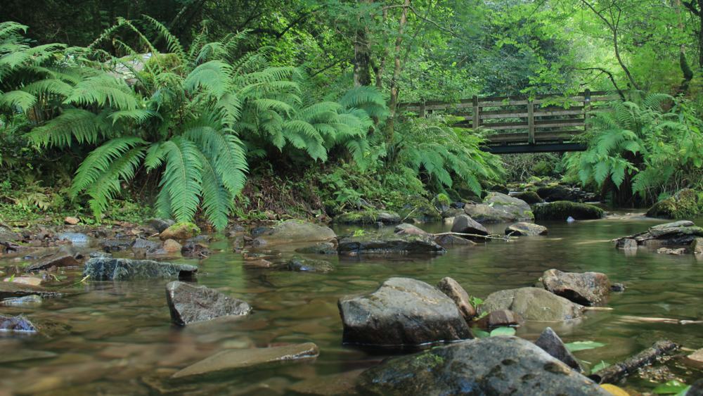 Exmoor-NP-Walk-slide-1 Holnicote