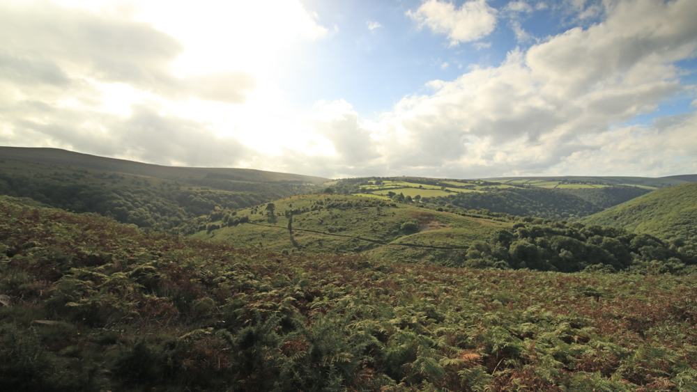 Exmoor-NP-Walk-slide-4 Holnicote