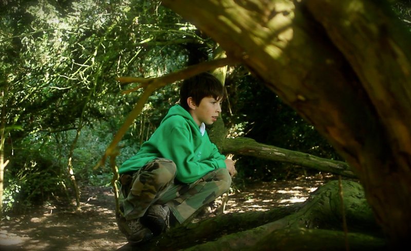 How-to-play-Wild-Tracking-pic