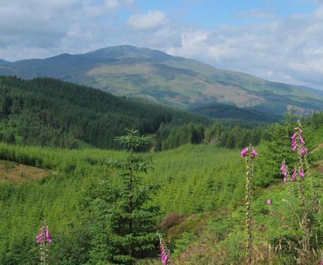A circular walk to a viewpoint which gives a fine outlook across both Flanders Moss to the south and the Southern Highlands to the north