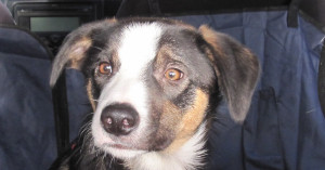 Ben at six months.jpg