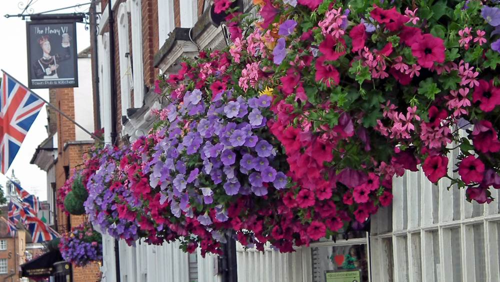 eton-walkway-slideshow-4