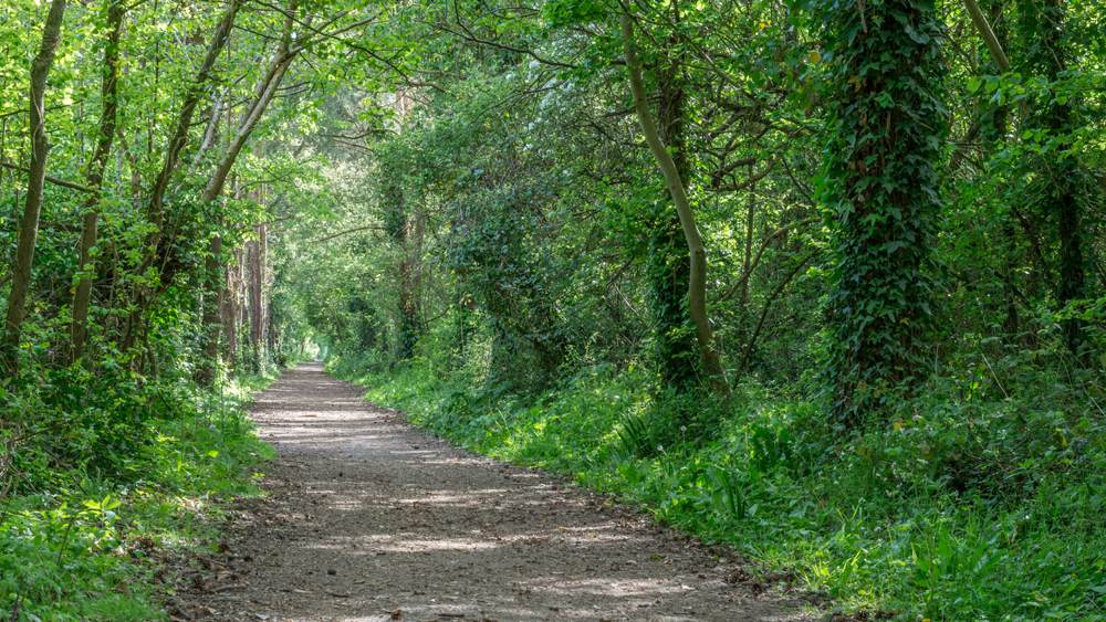 Watchet-to-Washford-Walk-slide-2