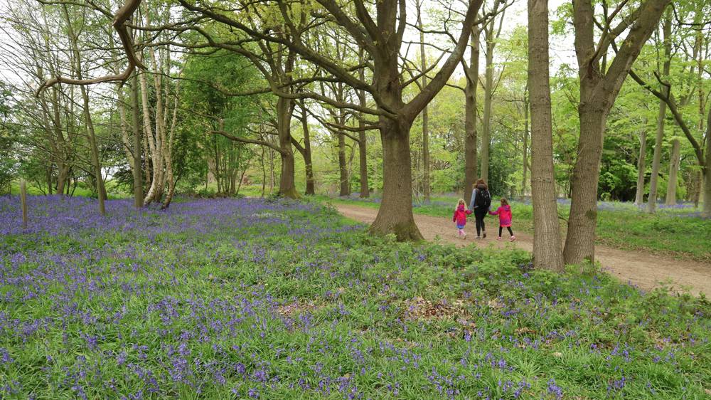 nt-blickling-slide-4 Blickling Estate