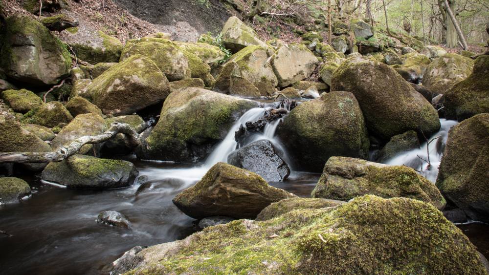 nt-longshaw-slide-1 Longshaw Estate