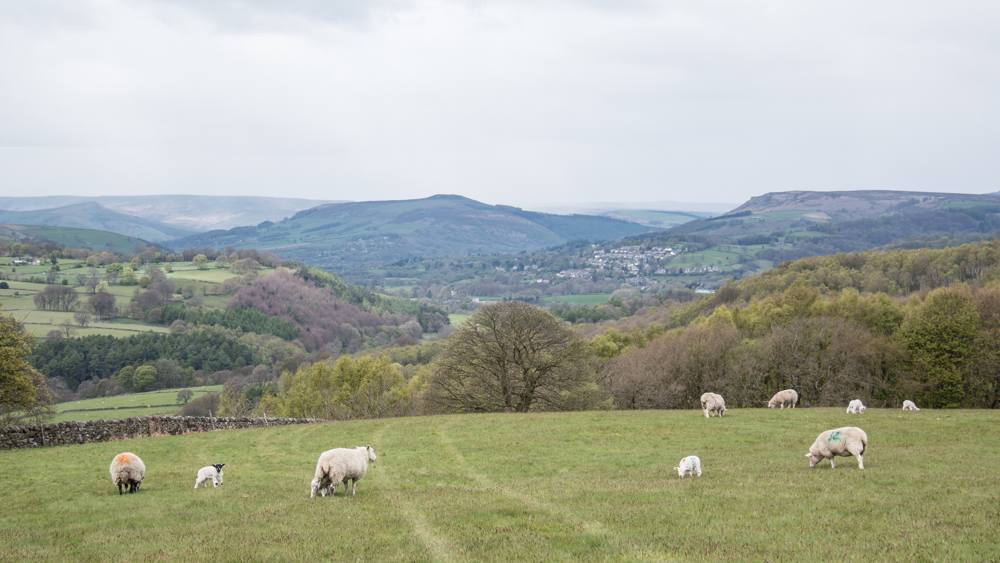 nt-longshaw-slide-7 Longshaw Estate