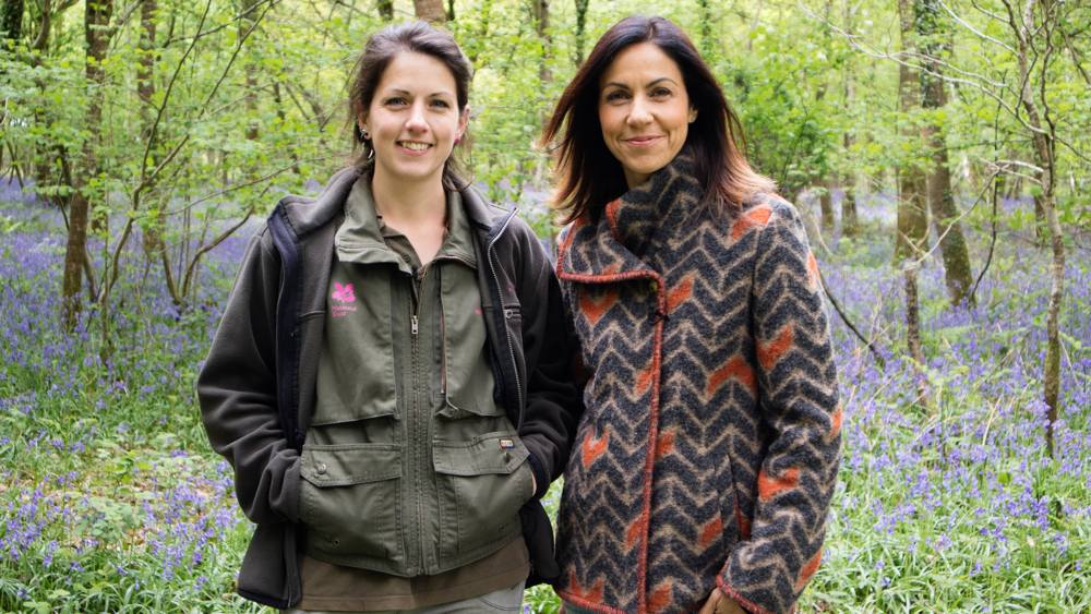 nt-mottisfont-slide-3 Mottisfont estate