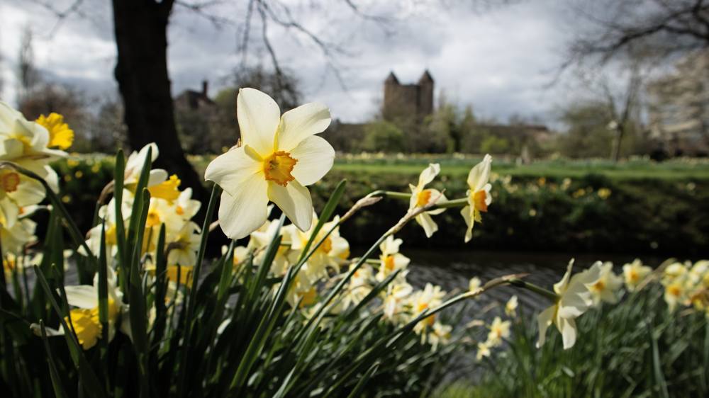 nt-sissinghurst-slide-3 Sissinghurst Castle