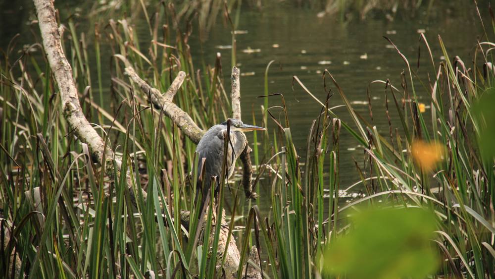 nt-stackpole-slide-1 Stackpole