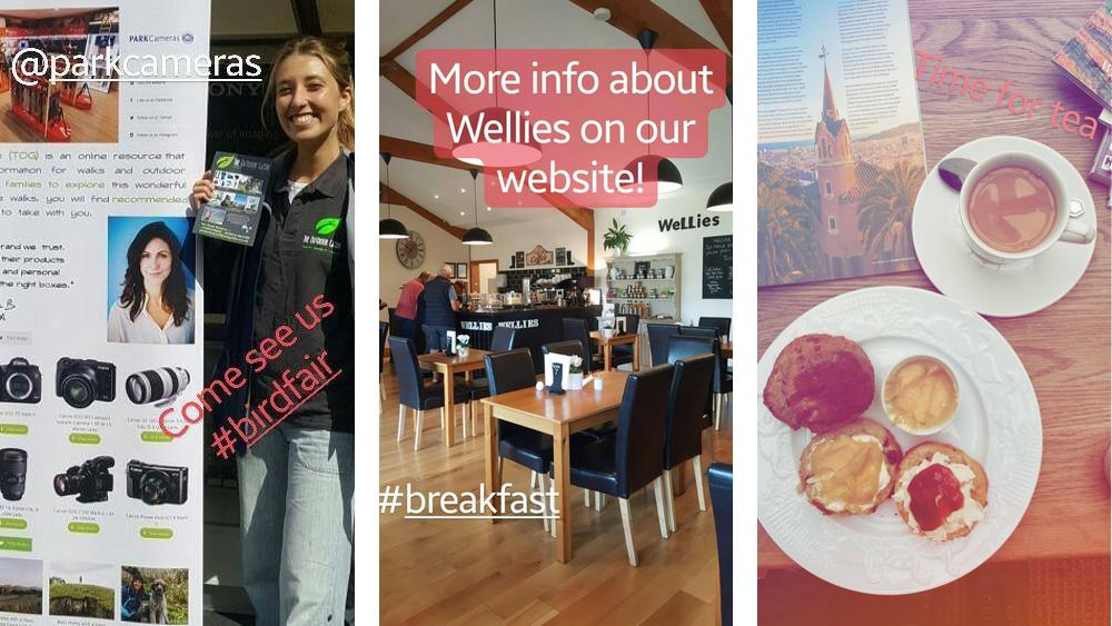 rutland0bird-fair-2017-slide-4