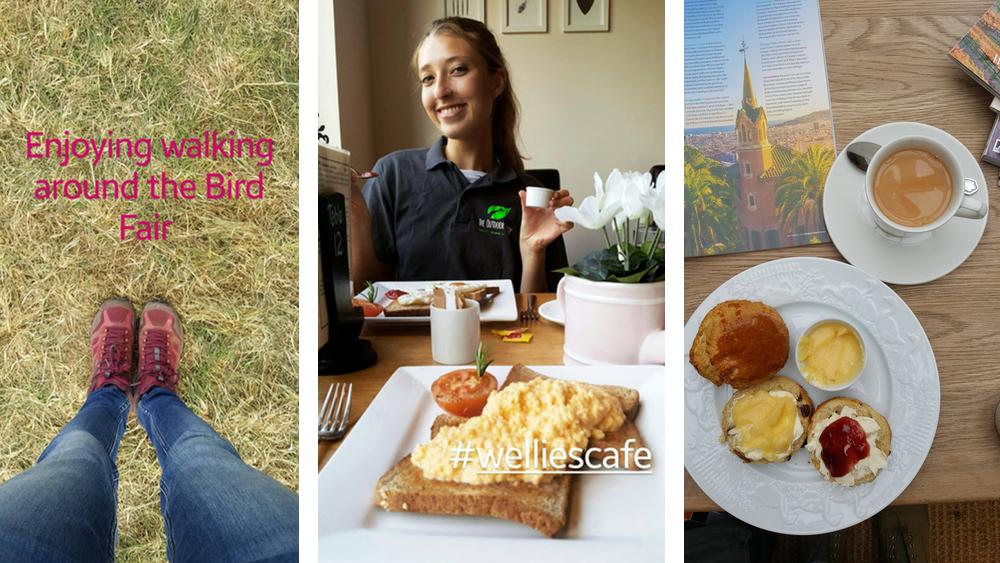 rutland0bird-fair-2017-slide-6