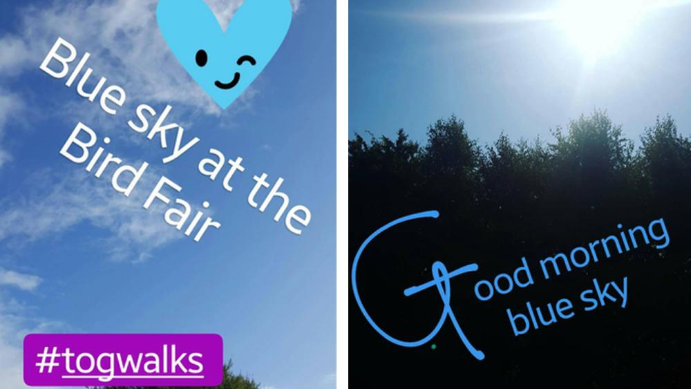 rutland0bird-fair-2017-slide-7