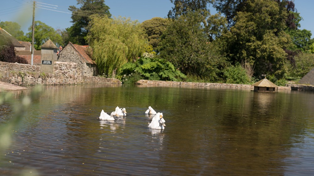 visit-somerset-Doniford-East-Quantoxhead-slide-1