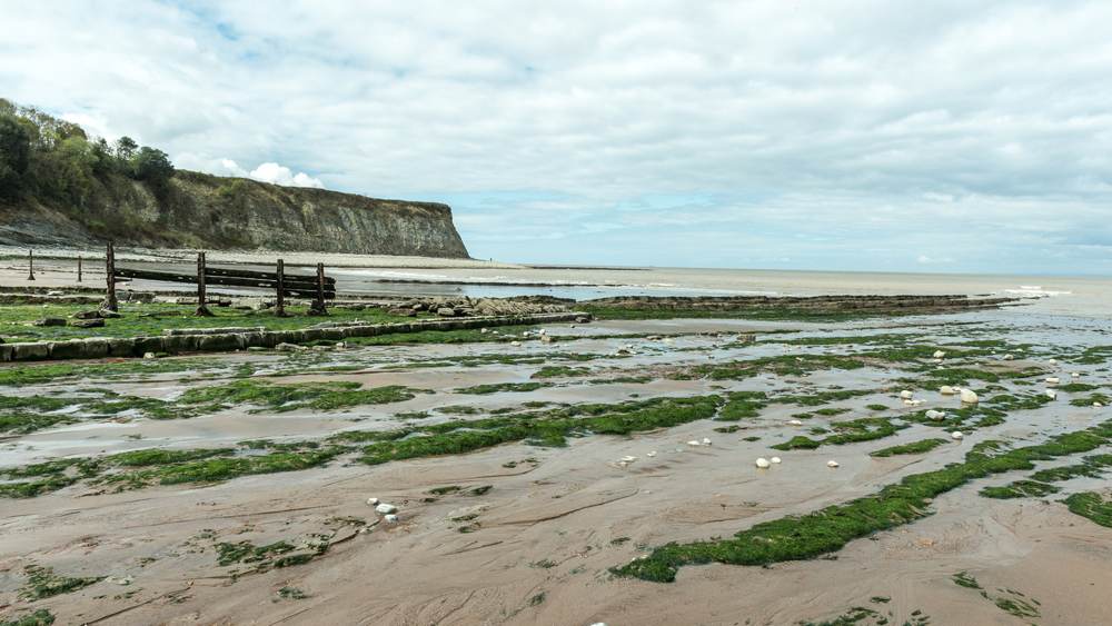visit-somerset-Doniford-East-Quantoxhead-slide-2