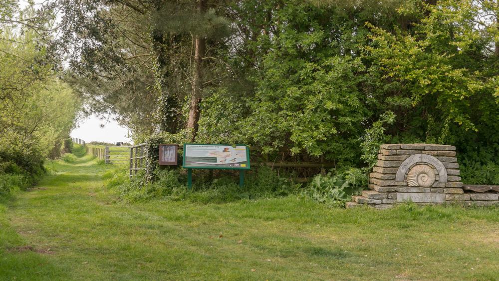 vs-steart-marshes-slide-1