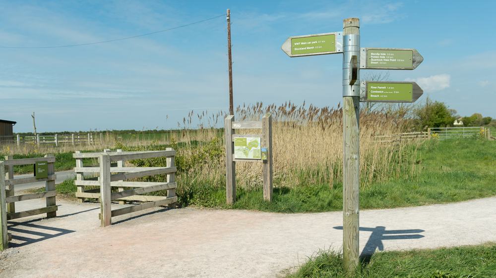 vs-steart-marshes-slide-3