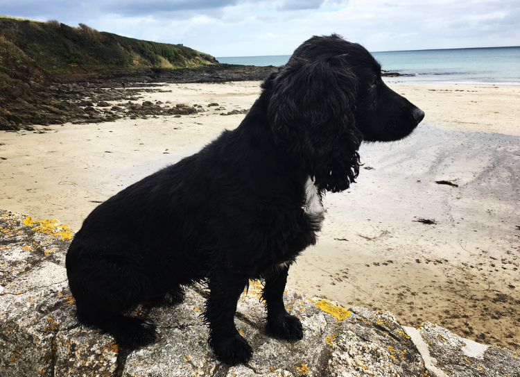 Sculptured-Coastlines-pic-4