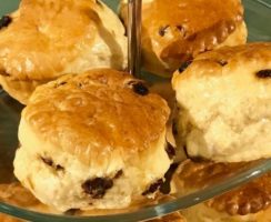 perriwinkle-grid-2 perriwinkle-grid-2