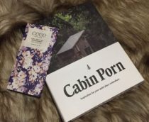 15-cabinporn