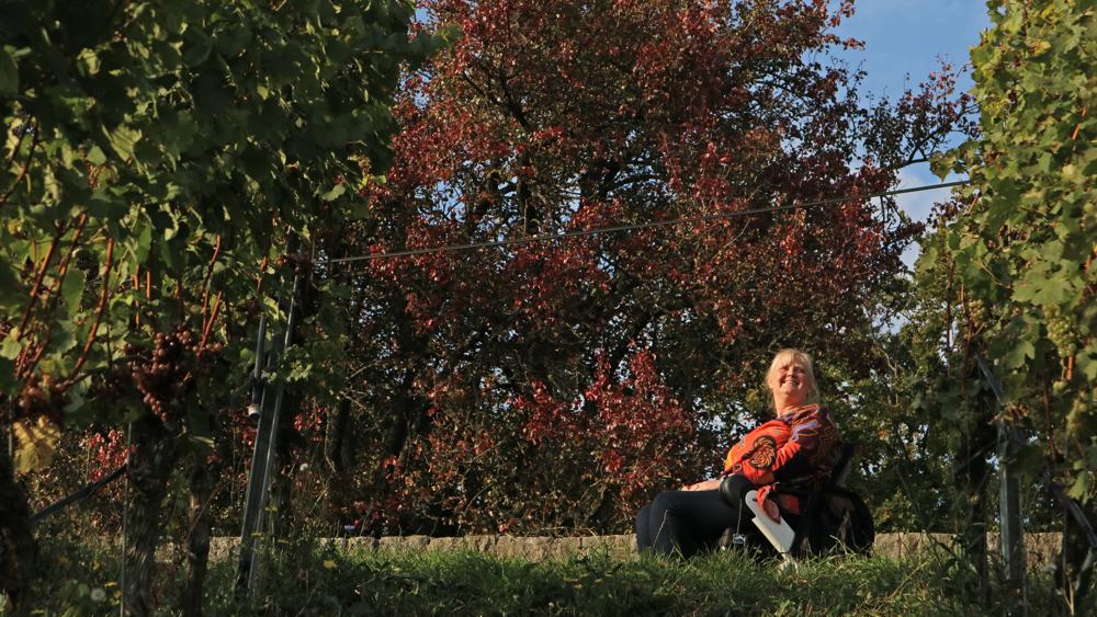 BarrierFree-Germany-WURZBURG-pic-17 BarrierFree Germany