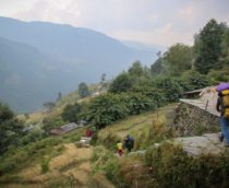 overboard-review-slide-4