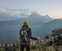 overboard-review-slide-5