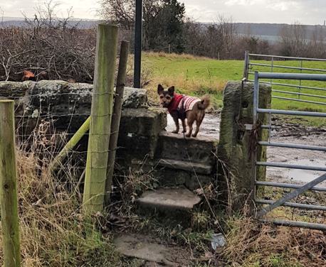 December is a hectic time; presents to buy, friends and family to see, excessive amounts of food and drink to be consumed… It can be difficult to find the time to get outdoors ...