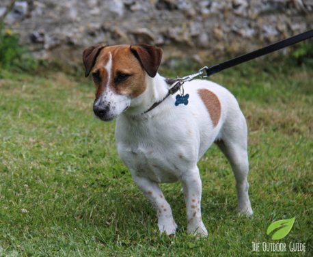 Because I can. That sounds really trite doesn’t it, but, if you can walk, you should; for exercise, for health, for peace of mind and for getting from one place to another ...