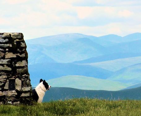 “The Dales 30” Mountains in the Yorkshire & Cumbrian Dales by Jonathan Smith from Where2Walk.