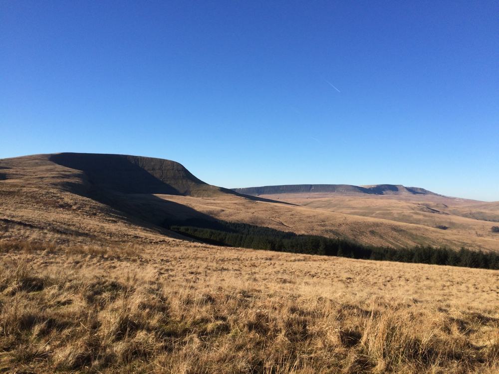 rebecca-RL2-Fan-Gyhirych