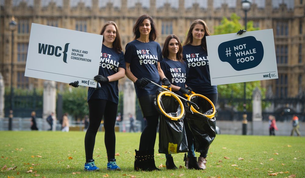 whale-and-dolphon-jb