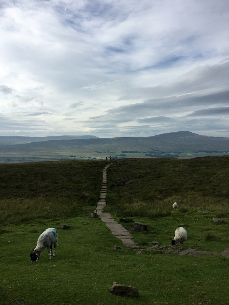yorkshire-3-peaks-pic-10