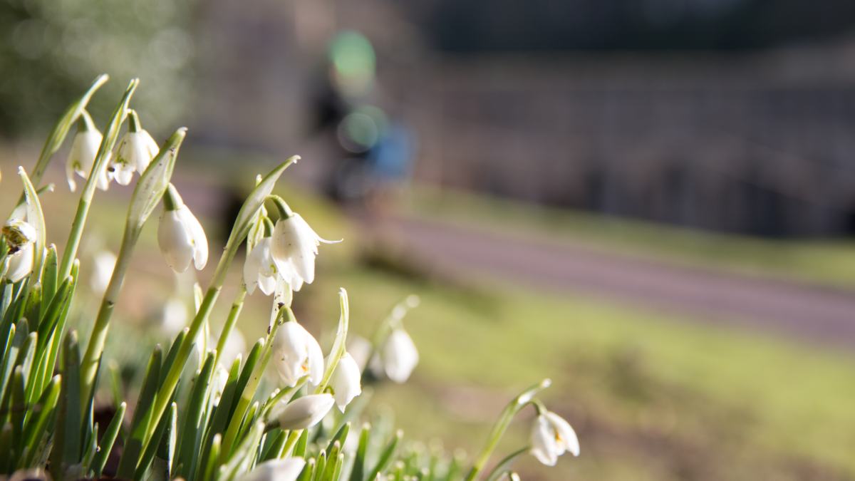 NT-Fountains-Estate-slide-5-new