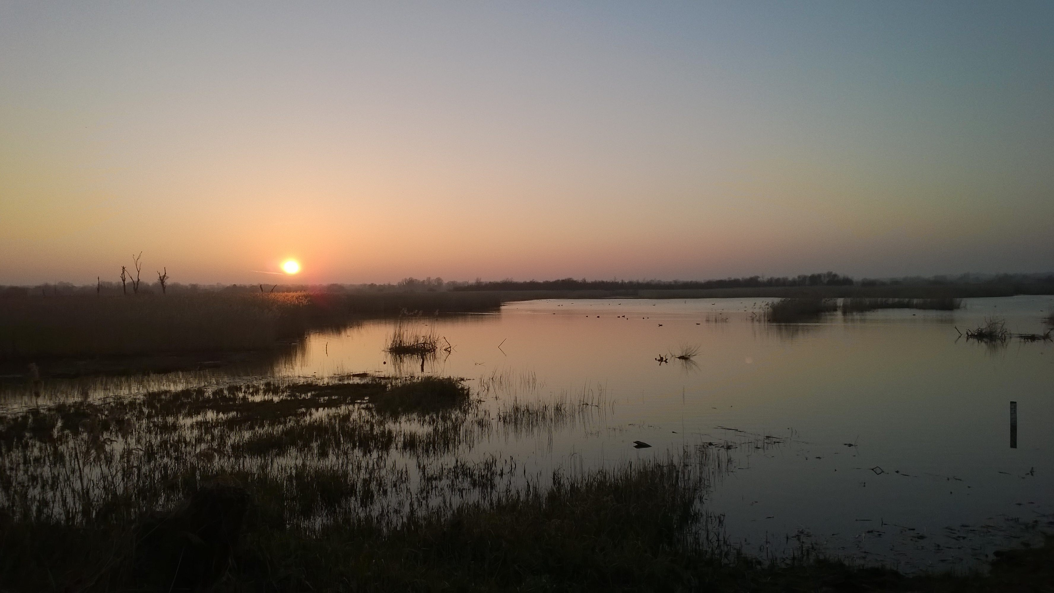 Strumpshaw fen Sunset.jpg