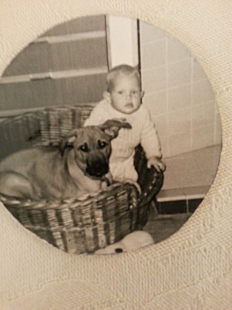 Gone-to-the-Dogs-pic-1