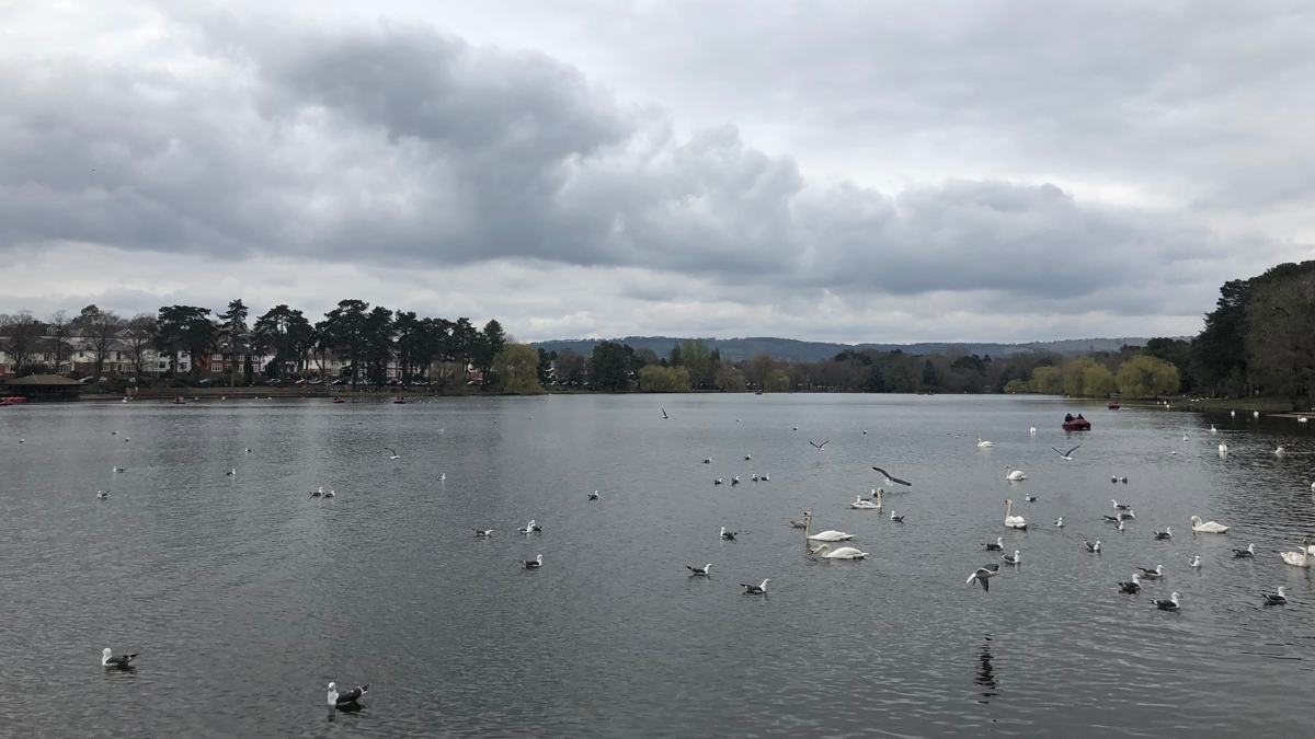 Kristinas-roath-park-slide-1