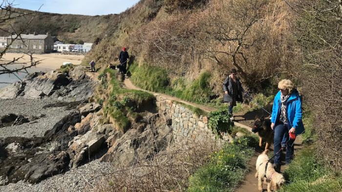 Madog Dog Walks Group-pic-1