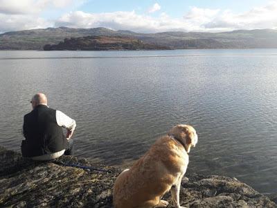 Madog Dog Walks Group-pic-12