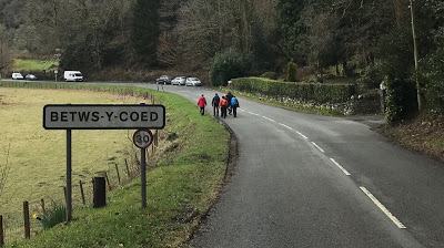 Madog Dog Walks Group-pic-9