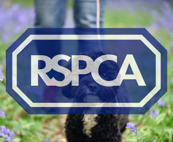 RSPCA