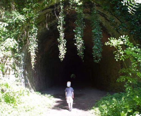 It’s not a walk, it’s an adventure! Fed up of cheerfully announcing to the kids that you’re ‘going for a walk’, only to be met with glum faces and – if you have a ...